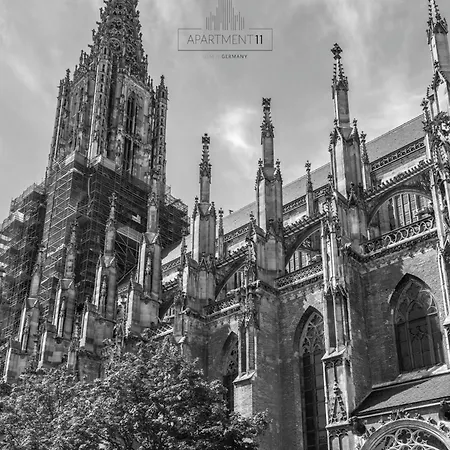 Apartment11 דירה