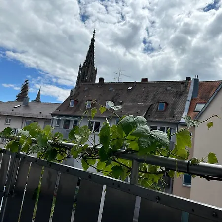 דירה Apartment11